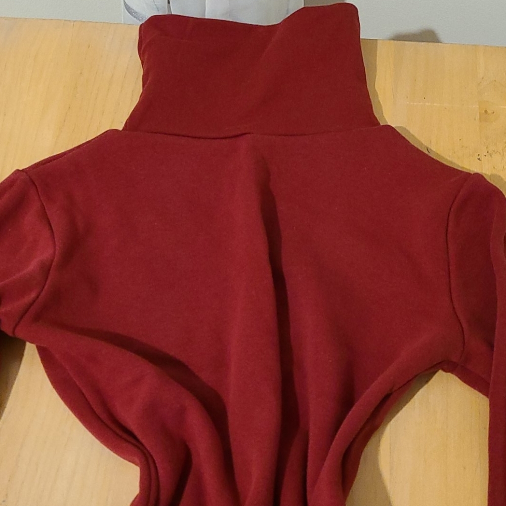 Fleece line wine red mini dress